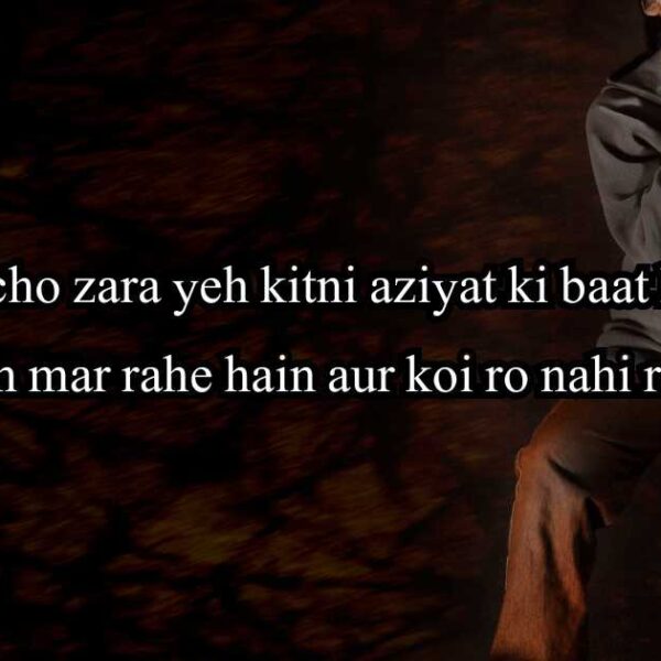 200+ Stylish and Royal Attitude Shayari in English