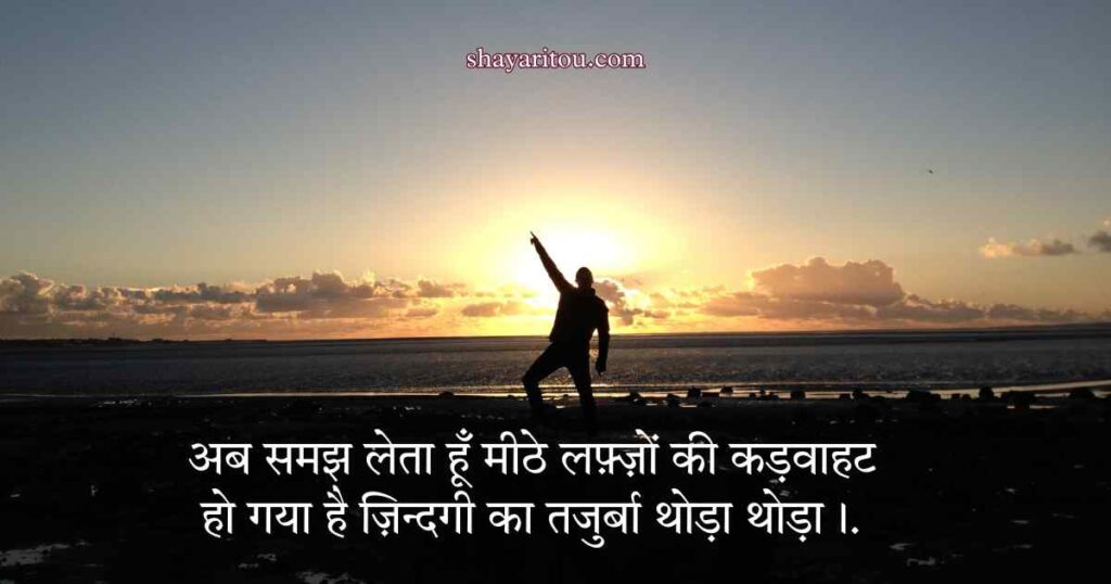 Success Attitude Shayari