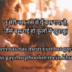 Top Impress Shayari for a Girl