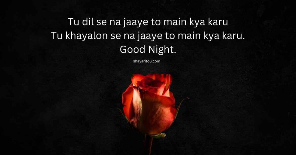 100+ Romantic Good night Shayari in English for Loved ones