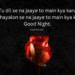 100+ Romantic Good night Shayari in English for Loved ones