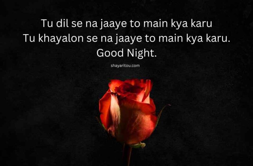 100+ Romantic Good night Shayari in English for Loved ones