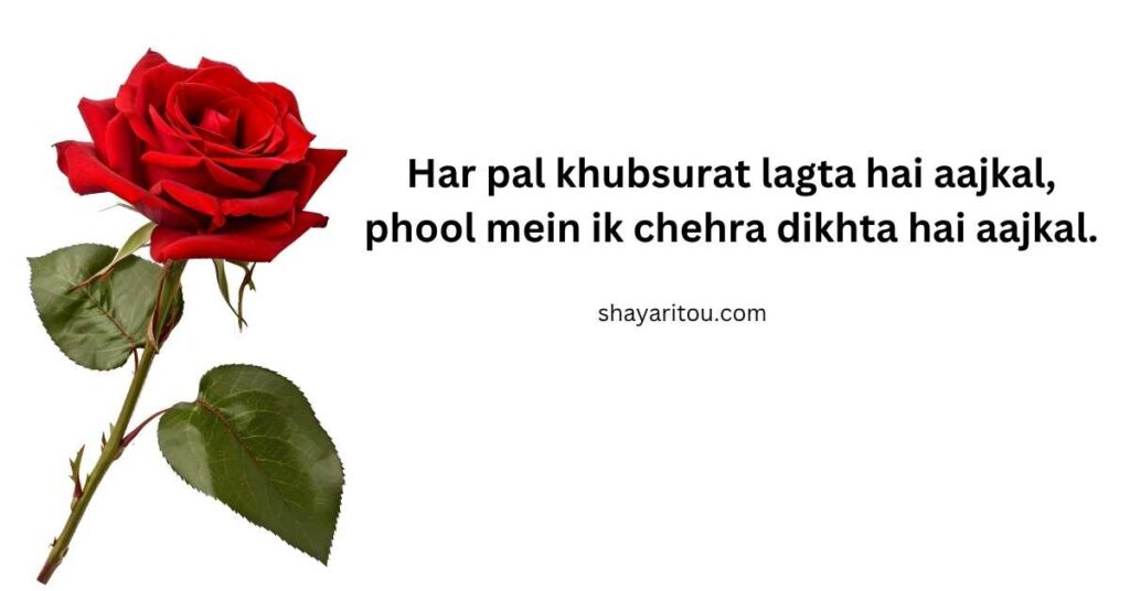 Single red rose with romantic shayari lines.