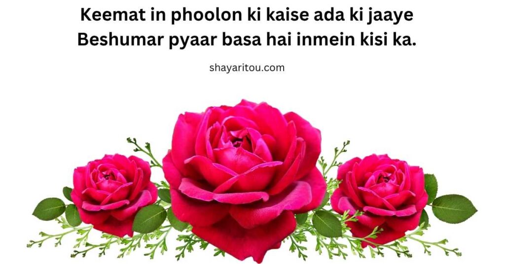Love shayari with flowers background